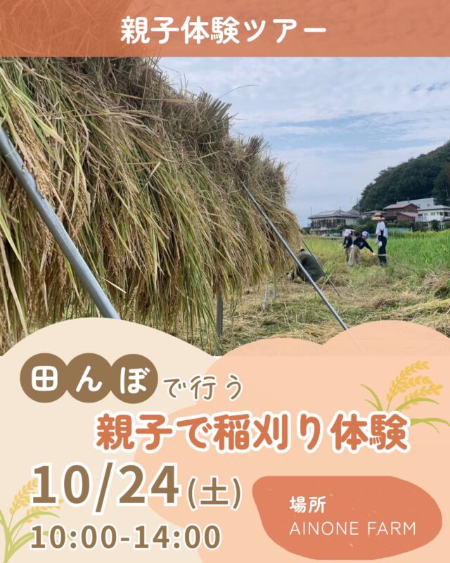 食育ツアー第三弾開催しますーー🎉
第三弾は初の親子体験ツアー🌾
in田んぼ！！
@ainone_farm さんの田んぼで開催します！

＼ お米はどうやってできるの？ ／

親子で一緒に田んぼへ行き、
自分たちの手で稲刈りに挑戦します🌾

さらに今回は…
・せんばこぎ＆唐箕を使った昔ながらの体験
・羽釜ごはん＆自家製味噌の豚汁で田んぼランチ
・自分たちで刈ったお米1kgを後日プレゼント🎁
と、盛りだくさん！

「収穫する」から「食べる」までを、
親子で一緒に体験できる1日です🌱

📅10月24日（土）10:00〜14:00
📍横浜市緑区（現地集合・現地開催）
👨‍👩‍👧年少〜小学6年生の親子
💰親子1組 12,000円
1名様追加6,000円

いつものごはんが、
ちょっぴり特別に感じられる時間を
お届けします🌾✨

自分たちで刈ったお米は
子ども料理教室Batonにて
お渡しいたします！！
稲刈りが終わった後も
食卓での会話が広がりますね🌾

@educare_inc_jp さんとの
食育ツアー第三弾🎉
一緒に親子で稲刈りに挑戦しませんか？

#食育ツアー
#親子稲刈り
#稲刈り体験
#稲刈りイベント